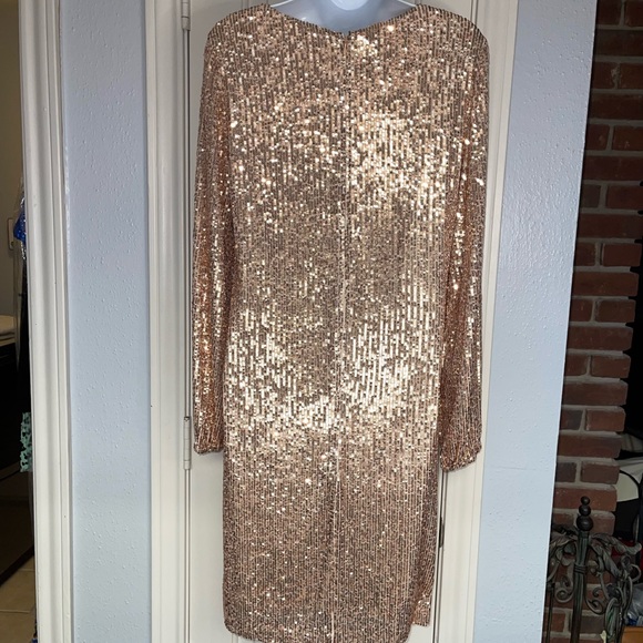 Preston & York Rosa Jewel Neck Long Blouson Sleeve Sequin Dress. Size 8.NWT! - Picture 8 of 12